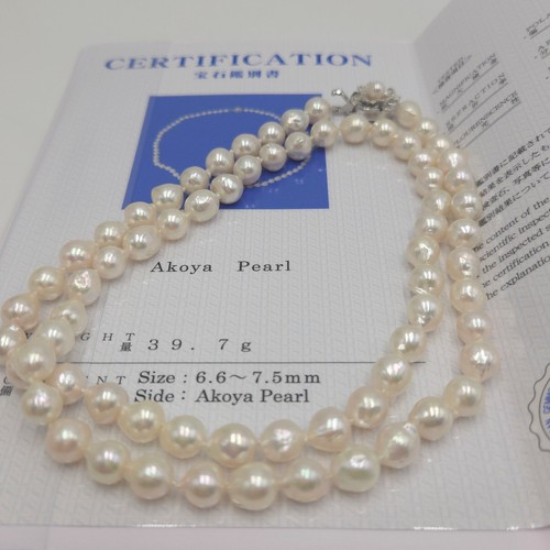 Saltwater akoya pearl - pearl, necklace